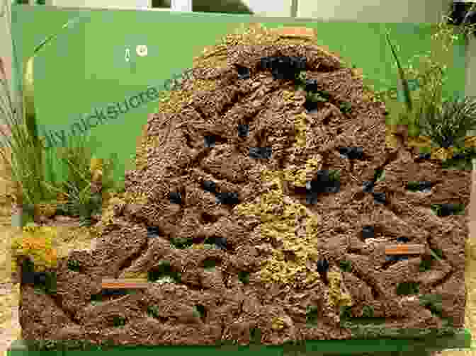 A Bird's Eye View Of An Ant Colony, Showcasing The Intricate Network Of Tunnels, Chambers, And Busy Worker Ants Carrying Out Their Respective Tasks. Metazoa: Animal Life And The Birth Of The Mind