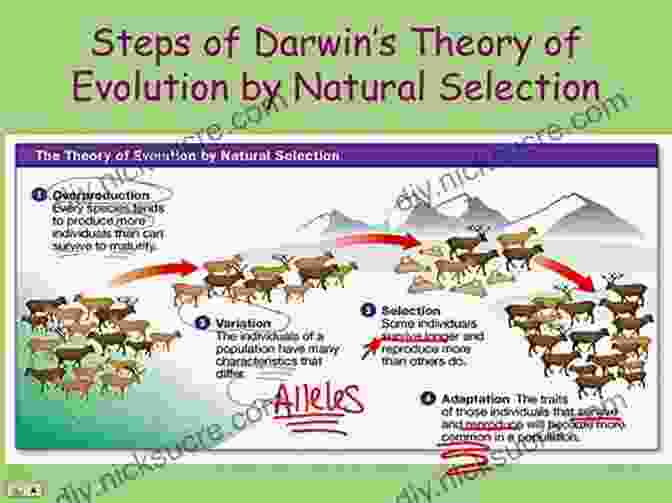 A Diagram Illustrating The Process Of Evolution By Natural Selection, With Beneficial Traits Being Passed On To Future Generations. Seven Clues To The Origin Of Life: A Scientific Detective Story (Canto)