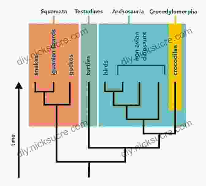 A Phylogenetic Tree Showing The Evolutionary Relationships Among Different Species, Leading Back To The Last Universal Common Ancestor. Seven Clues To The Origin Of Life: A Scientific Detective Story (Canto)